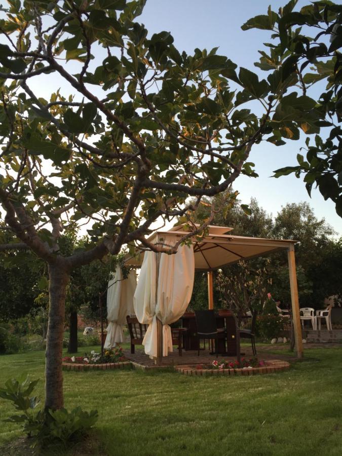 B&B Villa Magna Grecia Lazzaro Luaran gambar