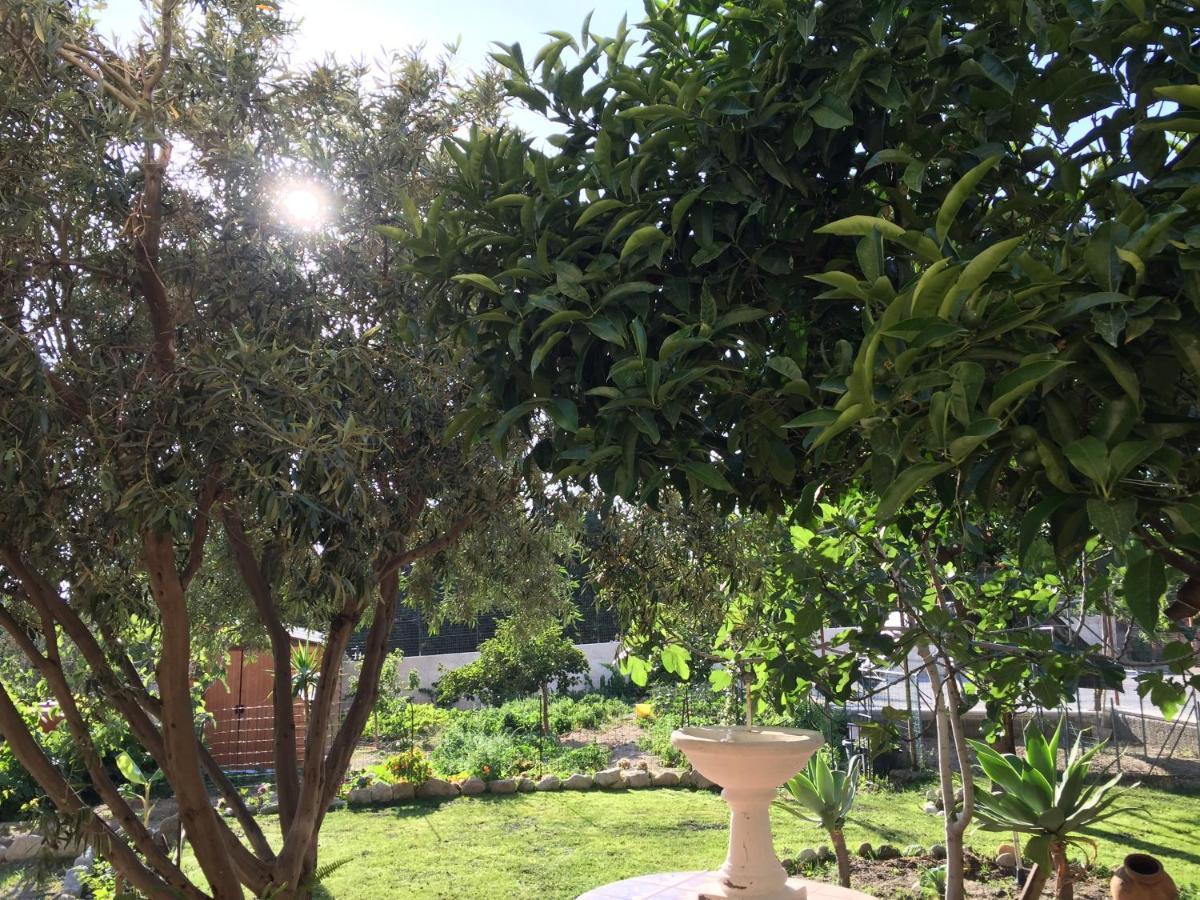 B&B Villa Magna Grecia Lazzaro Luaran gambar